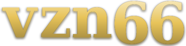 vzn66 logo